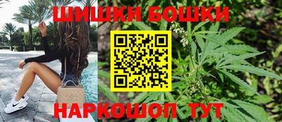 прущие грибы Лесосибирск