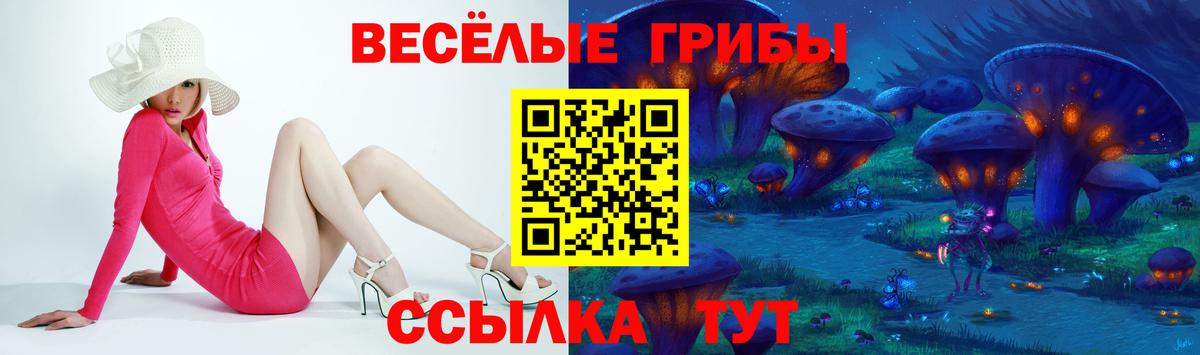 Псилоцибиновые грибы Magic Shrooms Ялта